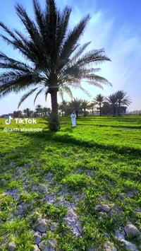 توفر مكتب ليث العبيدي العروض حسب الطلب 📌(استثماري/تجاري /ترفيهي )    📌...