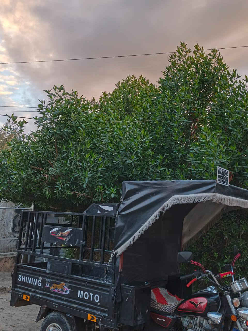 سلام عليكم ستوتة للبيع
موديل 22 مكفولة 
السعر مليونين 
***********
