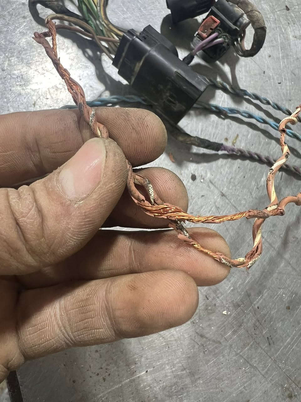 من ورشة الاخوين
تصليح وفحص السيارات بالكومبيوتر 
نوزل سياره شوفرليت سلفادور V8 GDI
مو كل من نظف نوزلات براسه خير مع احترامي لزينين 
نسمع من اصحاب سيارات غيرك ينظف نوزل ب 10 الف
ليش يمكم غالي ? هاي صوره هو اليحچي مو اني
خطيه صاحب سياره بس يفتح نوزل ويشد حتا براغي ثلاجه
كلها مسولك من كثر الفتح وشد ؟ طلع ضفيرة كلها دمج
عنوان كركوك حي صناعي جنوبي خلف محطة بنزين الشهيد 
سايدين رئيسي مقابيل شريكة حدادة الحدباء 
📞 *********** & ***********
