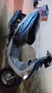 ماكس منغولي • كامله • مراوس