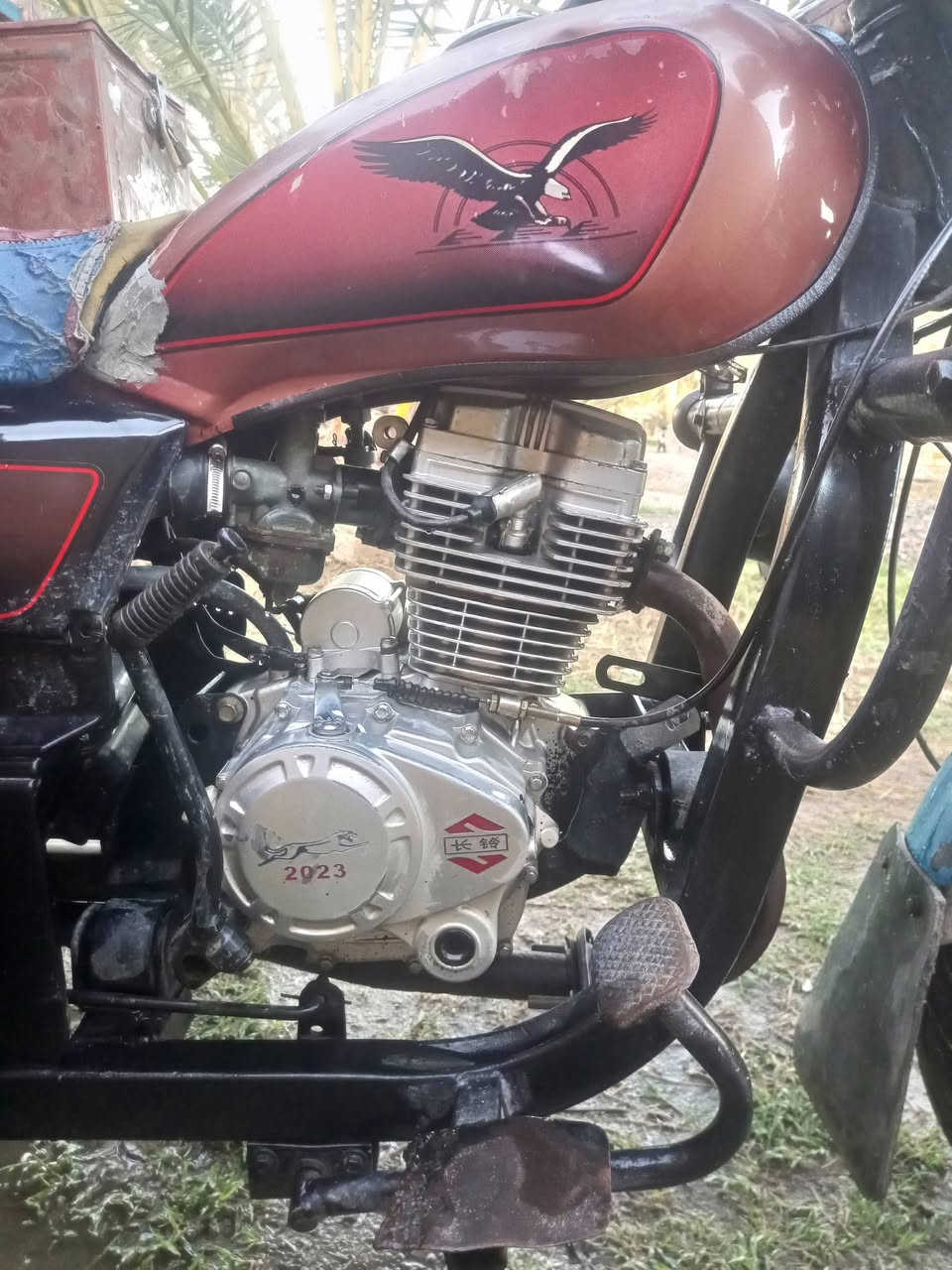 السلام عليكم ستوته للبيع موديل 19محرك 23 أوراق اصولي لون برتقالي ب1500وبيه مجال حك الجيه بابل محاويل ***********
