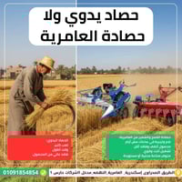 حصادة العامرية • قمح وشعير • العامرية إسكندرية