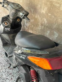 سكنس فحل لبيع خير من الله سلف وهندر نكره السعر ٥٥٠وبيهه مجال  مكان بغد...