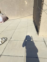 شغل سطوح • تطبيك وزفت • النجف