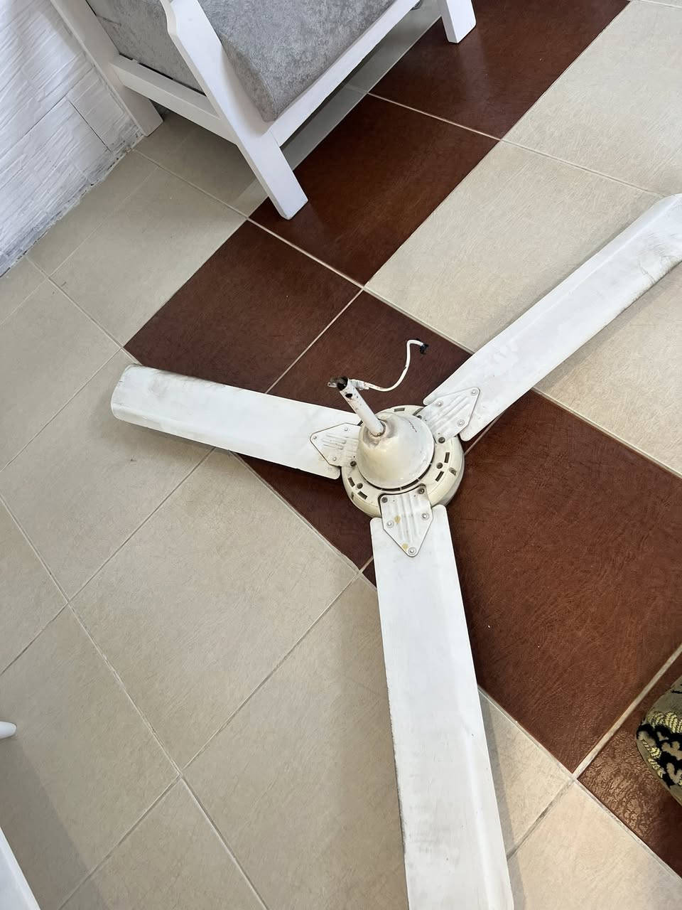 دوشك  نفرين وبنكه شغاله الي يريدهن يجي ياخذه بشوراو يكتي


**إذا كنت صاحب هذا الإعلان وتريد حذفه لأي سبب، رجاءا أرسل رسالة إلى الدعم الفني**