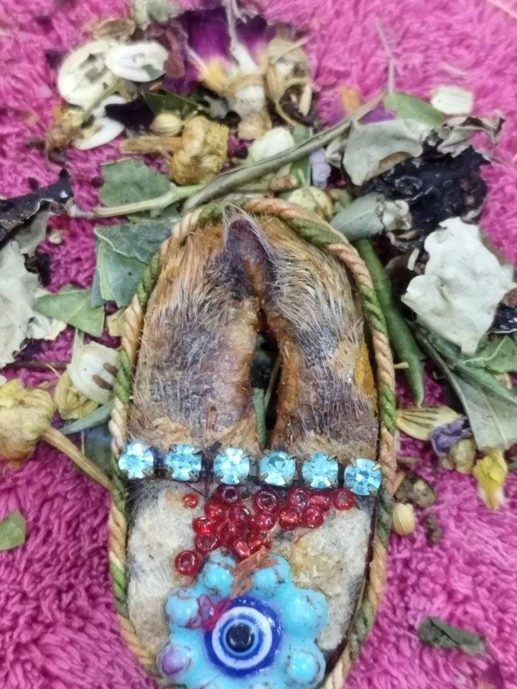 #فرج الضبعة
#حصرياً_لدينا
#مع_ضمان حقيقي على النوعية و الجودة و قوة عملة و تأثيره 
‏‎من #المكونات الروحية العظيمة وهو سر من اسرار الطبيعة السحرية ومنجزاتها العظيمة لنا يتم استخراج فرج الضبعة بعد صيدها يتم نحرها وفق طقوس ودعوات وتعزيمات بأوقات وشروط خاصة فرج الضبعة من المكونات الروحية السفلية تخدمه الأرواح والملوك السفلية وهو شيء خارق⚜️
‏‎#ملاحظة  :من اهم الاشياء لفرج الضبعة هو طلسمته وروحنته وختمه تتم روحنة الفرج وختمه على الاسم واسم الام واستخراج رموز الاسم ونجمه وكوكبة وطبعه وميزان حروفه وملكة العلوي والسفلي وساعته ويومه وتتم طلسمته على معدن الشخص وينقش ان كان على قطعة ذهب او على قطعة فضه او على قطعة نحاس حسب معدن الشخص ثم يبخر وينجم ويضاف له 7 خيوط معقودة على اسماء خدام ملوك الايام السبعة من سبعة ألوان لأن لكل ملك لون حتى يكون الفرج فعال وفق الايام وخدمة الملوك والارواح السفلية لفرج الضبعة ✅
‏‎بعض استعمالتة: 
‏‎1-للسيطرة على القلوب والعقول والنفوس والارواح 
‏‎2-الحب والاطاعة العمياء والتهييج ويمتاز بتحريك الطرف الأخر غريزياً وجنسياً 
‏‎3-الجذب و التقارب بين الزوجين او المحبين او العاشقين 
‏‎4-عقد لسان السلاطين و الوجهاء و القادة امام حامة 
‏‎5-زيادة محبة و قبول حاملة امام الناس
6-يستعمل لزيادة اقبال الجنس الاخر الى حاملة 
7-الجذب و التقارب بين الزوجين في حال وجود نفور او مشاكل او أعراض روحانية او سحرية 
8-تسهيل الأمور لحامل الفرج((جاه و وجهة))
#نطلب  من اصدقاء الصفحة القدامى  و زبائننا و من جرب سلعنا و عملنا ان يترك تعليق يعبر عن تجربتة وشكراً لكم
‏‎للاستفسار او الحجز مراسلة صفحة أو الإتصال المباشر مع *********** الميمونة, ميسان
