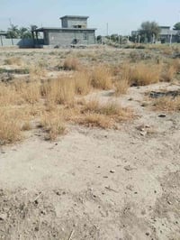 ابو سريويل • ٣٢٥م • سند ٢٥