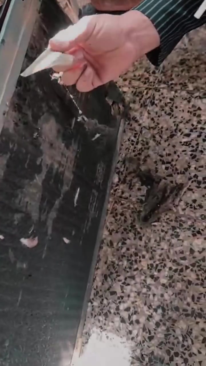 ***********

