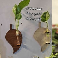 ديكور نباتات • توصيل لكل العراق • مشتل باشا كركوك