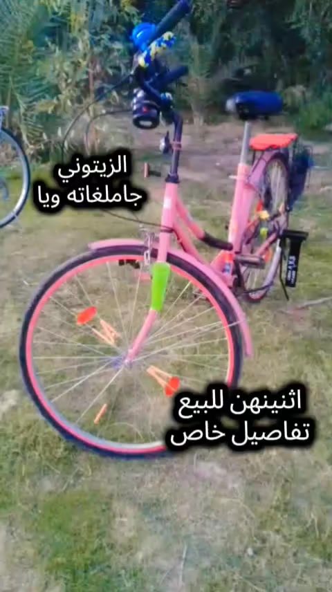 السلام عليكم باسكل للبيع نضيف كلش و جديد العنوان نجف ابو صخير للاستفسار واتساب 
***********
