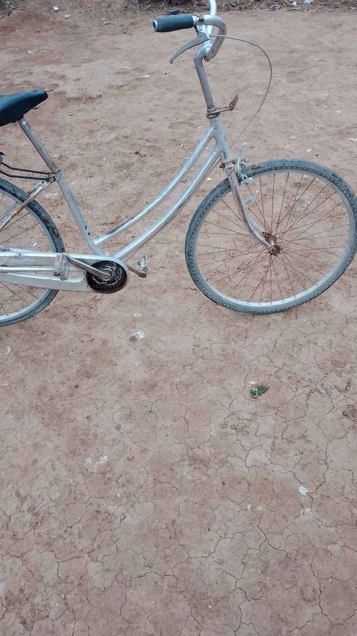 اسلام عليكم 
بايسكل للبيع او مراوس بهوايه بيسكل كله جديد  تايرات واحد قبل اسبوع شديته جديد والخر صارله شهر بايسكل اصعده وفتر ولله راقي


**إذا كنت صاحب هذا الإعلان وتريد حذفه لأي سبب، رجاءا أرسل رسالة إلى الدعم الفني**