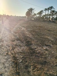 كاع السكندرين • ١٠٠٠م • مياه وكهرباء