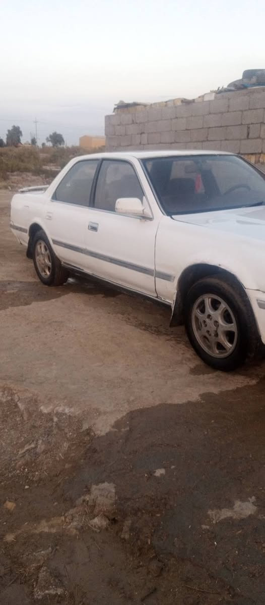 السلام عليكم كرسته كصيف لبيع مكفولة من العيب الشرعي والكصه والنقل وكافه الاصوليات مكينه وكير ونجي سنويه مشروع وطني رقم واسط السعر 40وبيه  المكان الناصريه شطره رقم راعيه ***********
