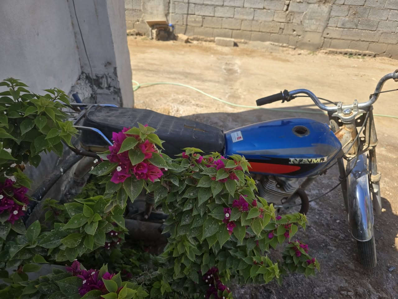 سلام عليكم دراجه كلك للبيع شغاله كلشي مابيه 
المكان كربلاء جامعت فريحه 
***********
