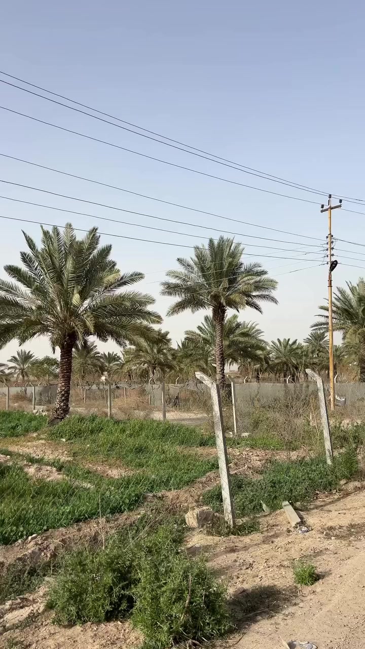 فرصة استثمارية مميزة لأصحاب المزارع 🌿

أرض للبيع بمساحة 3 دونم بسعر مناسب جداً وموقع مميز.

📍 الموقع: بغداد – الدورة
تبعد حوالي 10 كم عن مول العراق.

📄 جنس الأرض: طابو زراعي سند 25
💧⚡ الخدمات متوفرة: ماء، كهرباء، تبليط.

فرصة مناسبة للاستثمار أو إنشاء مزرعة خاصة بموقع هادئ وقريب من المدينة.

📞 للاستفسار والتواصل:
***********
 #مزارع #دوانم #اكسبلور   #fypシ #fypシ゚viralシ #العقاري_عيسى_الجبوري #مقاولات
