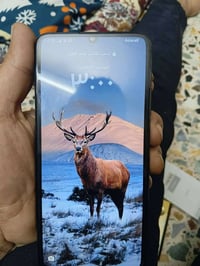 هونر • شاشة مكسورة • بياع سويب