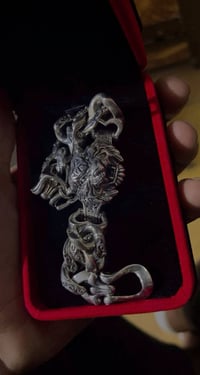 شباب سوار ابو الاسد فضه مو استرليني ركز فضه تجي من باب البيت تفحصه وجي...