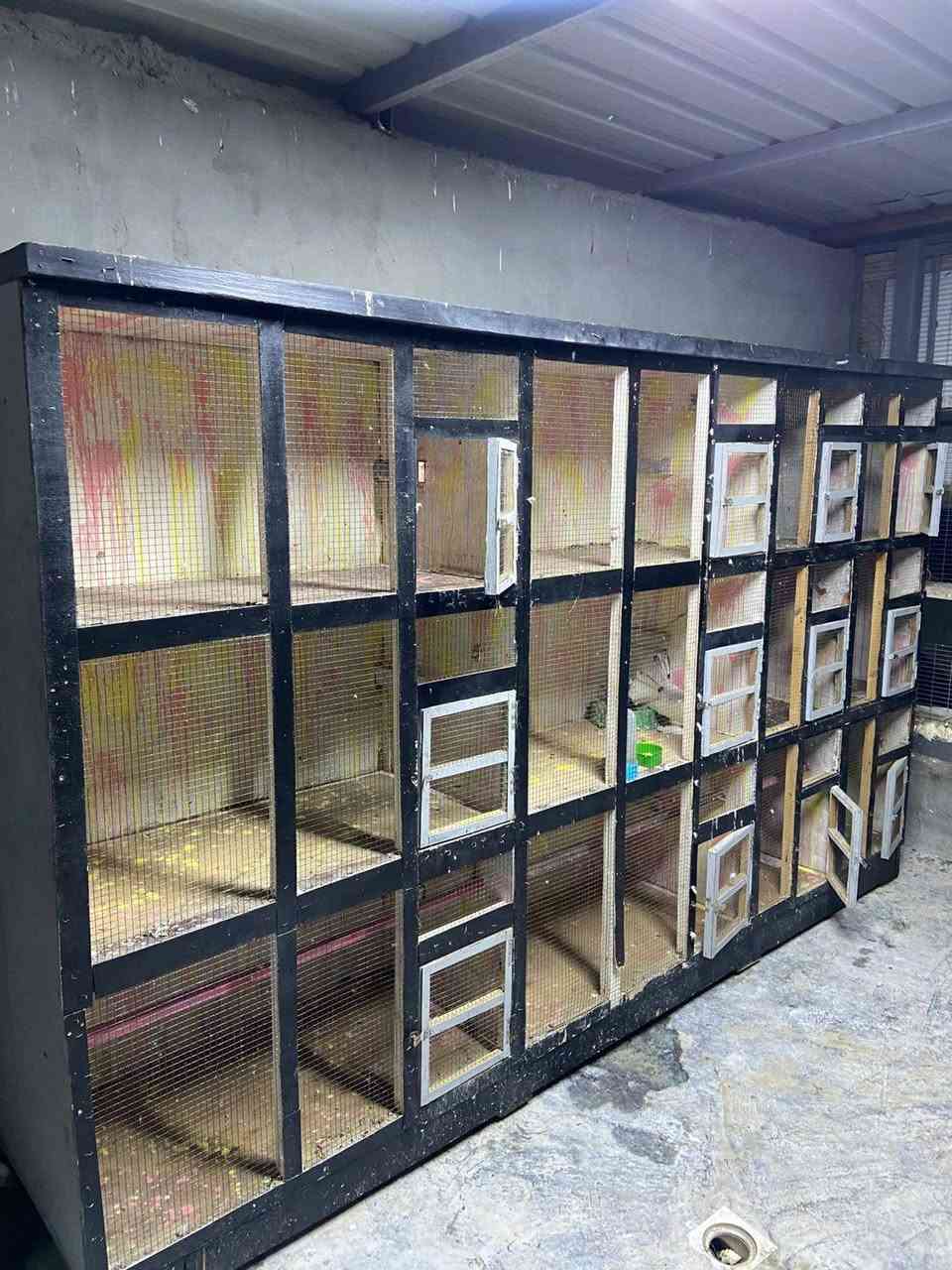 سلام عليكم قفص خانات 12 خانه ٢٥٠ وبي مجال مكاني فلوجه السكنية


**إذا كنت صاحب هذا الإعلان وتريد حذفه لأي سبب، رجاءا أرسل رسالة إلى الدعم الفني**