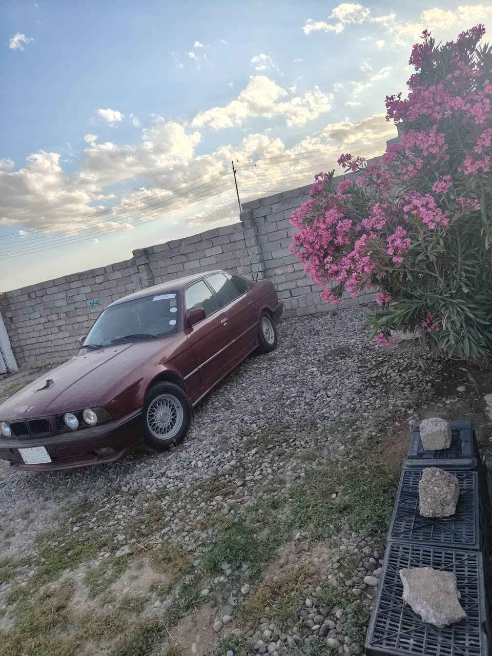 سلام عليكم بي ام البيع 
كير عادي 
محرك 535 
رقم نينوى كابوت بنزين 
طخم تاير وياله عنكبوت 🕷
كشنات جلد 
صبغ جماليه 
لوايت زينون 
طخام جديد سياره كدام عين 
رقم ***********/***********
عنوان موصل بادوش تصل تدل السعر 55 بيه مجال
