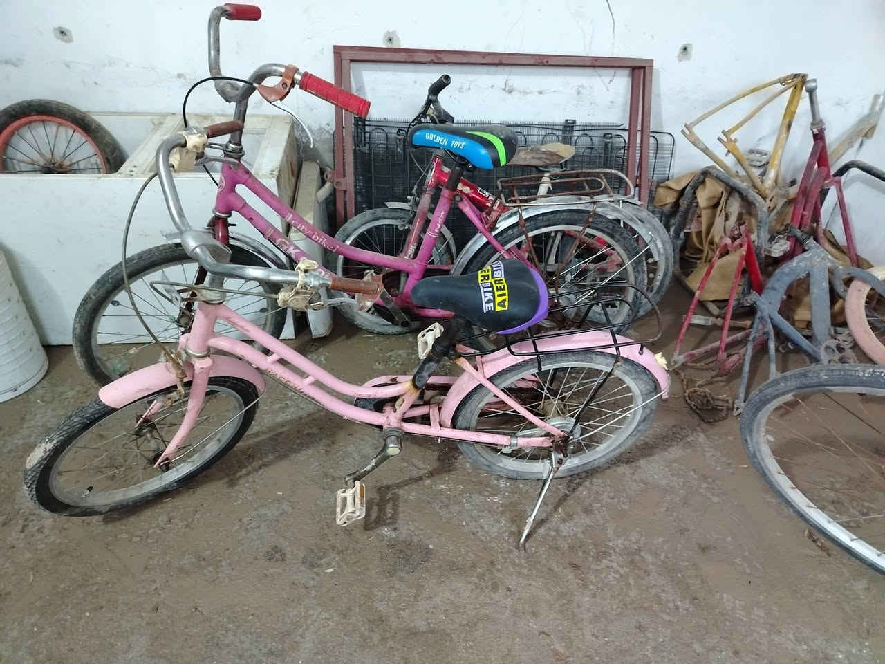 سلام عليكم باسكلات للبيع بأسعار مناسبة انضاف مرتبات العنوان كربلاء غرب مدينه سيد الاوصياء للزائرين محل داخل بدعه اسود للاستفسار الاتصال على الرقم ***********
