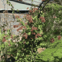 الولداية الثانية • غرفتين • ٢٦٦م