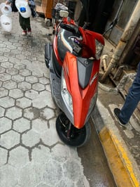 سايم نحله • موديل 19 • مسجل ومكفوله