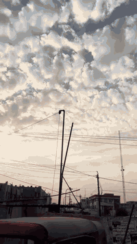 تكتك ٢٠٢٣ طالعه ب ٢٠٢٤/١١/٢٣ محرك مكفول من دكت الاسبانه مضروبه لغدين و...