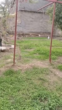 كربلاء • ١٠٥٠م • سند25 زراعي