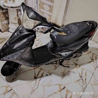 بريز ببغاء • نوزل • مكفوله