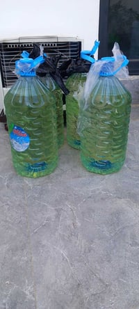 ٥ قارورات • نفط هذا الشهر • حي الاسرى