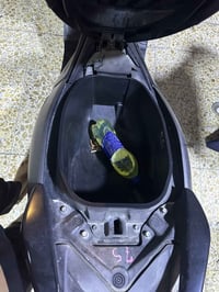 ان ماكس مكفوله للبيع مكاني بغداد حي الجهاد 07768644581