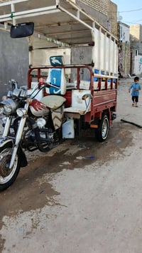 ستوته • مكفولة • ٢٠١٨