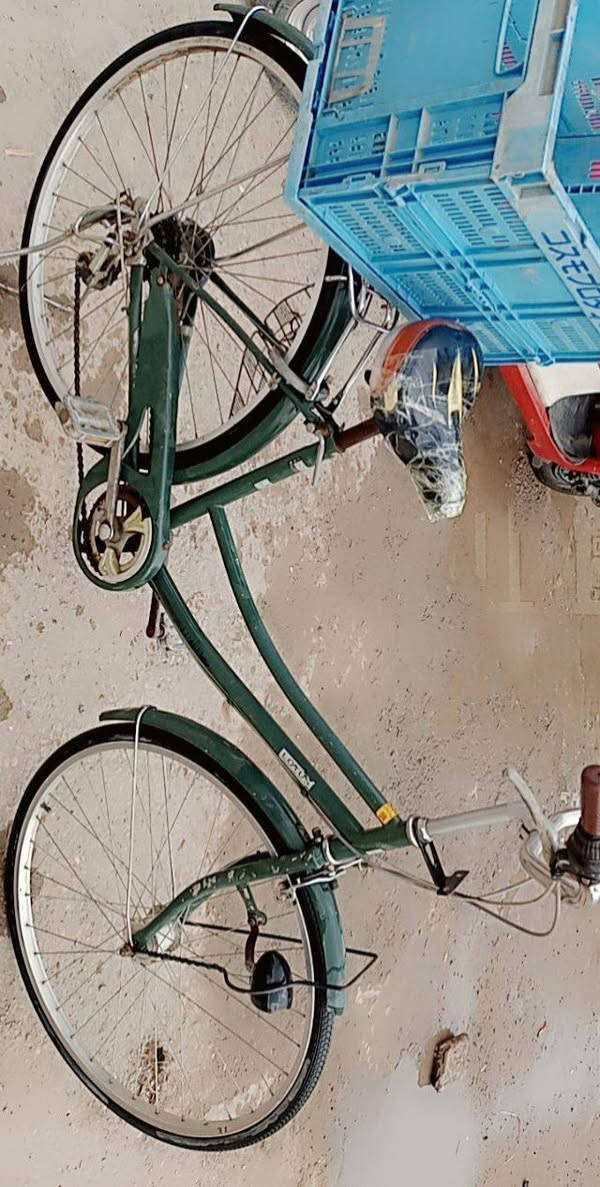 سلام عليكم  بايسكل ياباني باله اصلي حجم 27 لون زيتوني ***********واتساب سعر 100 وبي مجال بسيط مكاني هورجب
