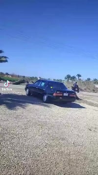 رأس الثور • كراون • الديوانية