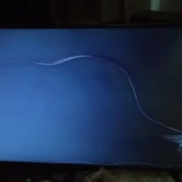 سامسونج • شاشة ٥٥ • شاشة مكسورة