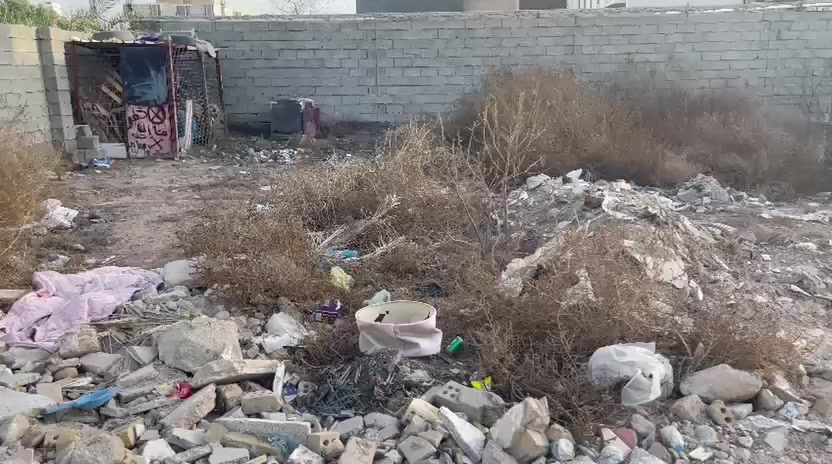 توجد قطعة 100متر بالغزالية للبيع طابو زراعي سند25كافة الخدمات وسعرها مناسب الاستفسار الاتصال ***********واتساب
