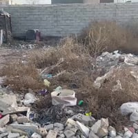 توجد قطعة 100متر بالغزالية للبيع طابو زراعي سند25كافة الخدمات وسعرها م...