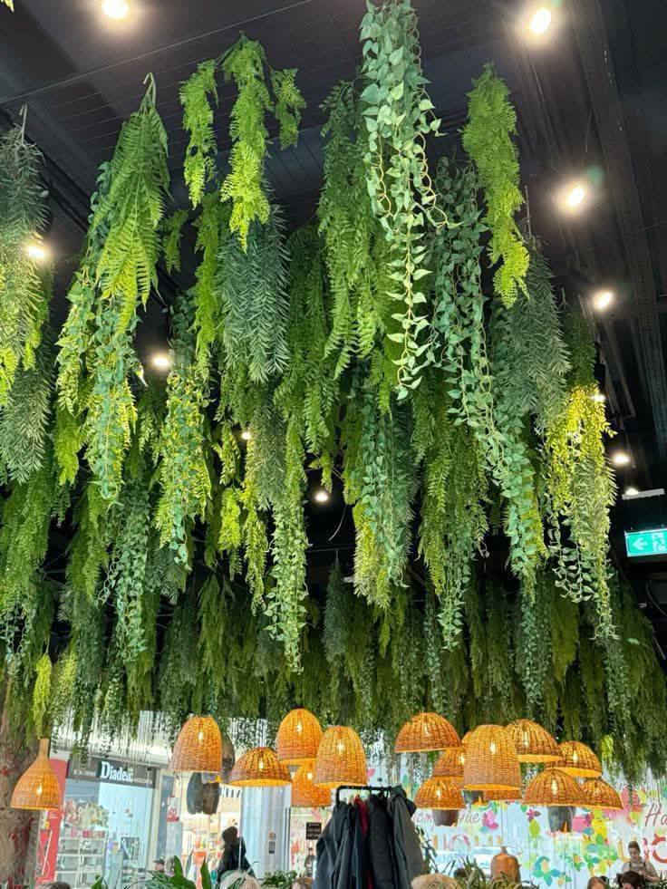 🌿 متدليات وكرات زرع بأشكال فخمة 🌿
لمسة ديكور تخلي المكان أرتب وأجمل 😍

مناسبة للبيت، القاعات، المحلات والكافيهات ✨

✅ ألوان وأشكال متنوعة

✅ جودة مرتبة

✅ أسعار مناسبة


**إذا كنت صاحب هذا الإعلان وتريد حذفه لأي سبب، رجاءا أرسل رسالة إلى الدعم الفني**