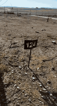 ارض مقبره النموذجيه وادى عكاب خلف مخازن الكهرباء شوارع وكهرباء المساحه ١٠٠م السعر ٧ مليون وبيها مجال ***********
