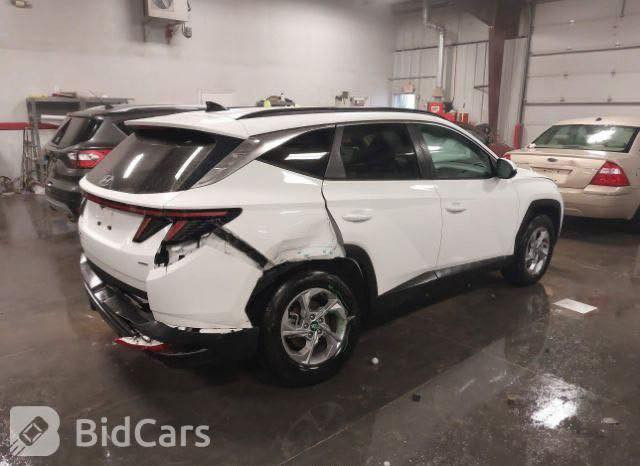 السلام عليكم 
للبيع فقط 
هيونداي توسان امريكي كلين ضربته بالصور راجع جاملغ بارد بدون صبغ السيارة مكفولة ما عدا جتف الدعامية رصاصي مصبوغ ابيض فقط هذا لي بيها أستيراد على ايدي رقمها بغداد بأسمي موديل ٢٠٢٣ السيارة فور ويل htrak نظام نزول منحدرات 
دفلوك هاند برك بصمة تدفئة بالكشنات عرض كاميرا خلفي اوتو هولد و اتو ستار محرك ٢٥٠٠ 
هوك خلفي بلادي نقاط عمياء 
توقف ذاتي امامي و خلفي 
نظام تنبيه ⚠️ الباب عند فتح 
فول رادار خروج عن مسار و تتبع 
وتوقف وقيادة ذاتية كروز سرعة 
شاشة ٩ انج فول كار بلي واندرويد اوتو شاحن واير لايس 
صندوك كهرباء و فتح 🔑 عن بعد و تشغيل عن بعد و بصمة حديثة تفتح كارت وتليفون وبصمة نظام ترحيب مع انارة  باليدات فول Led وبعد بيها مواصفات 
السيارة كلش حلو مكفولة كير و محرك وشاصي ومن صبغ ايرباك بردة فقط 
نظيفة كلش واستخدام قليل على ايدي من امريكا 
مكانها بغداد 
ماشية ٣٣ الف ميل 
سعرها ب٢١٠ ورقة 
***********
