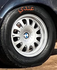 ويل كب • صقر • مراوس