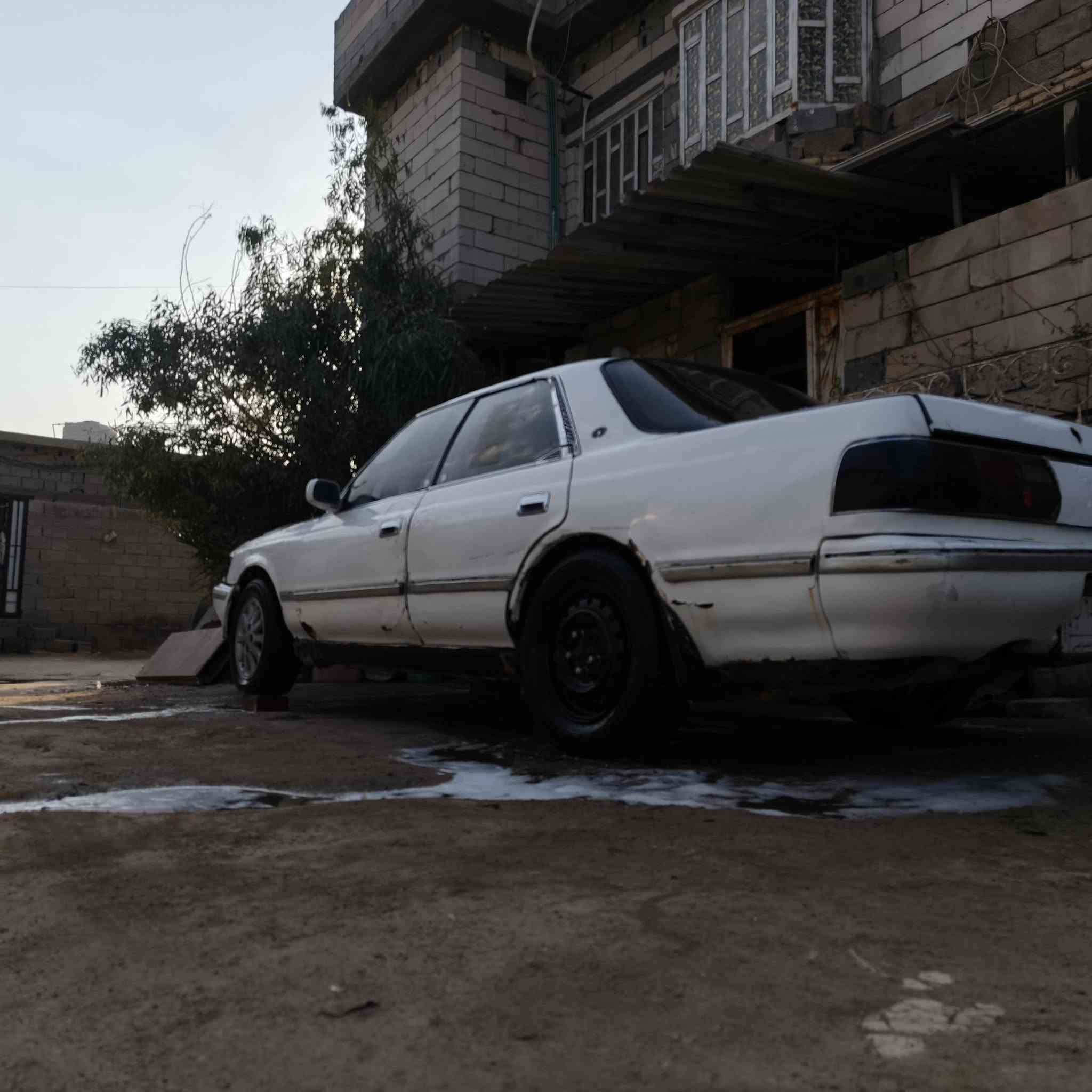 سلام عليكم
مارك كصيف للبيع مكفوله من الكصه سنويه كارتونيه منتهيه بل 20بديها شوفت العين جامتها مكسوره الكدام مكان البصره البو الخصيب سعر 12قفل مابيها كل مجال مكينه وكير ونجي راعيها ب كربلاء بحي الحسين ماعندي تواصل وياه أبيع بدون راعي رقم الماني سعرها 12قفل مستعجل على بيعتها رقم ***********
