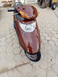 سبيسي • ماليزي • جاهزة