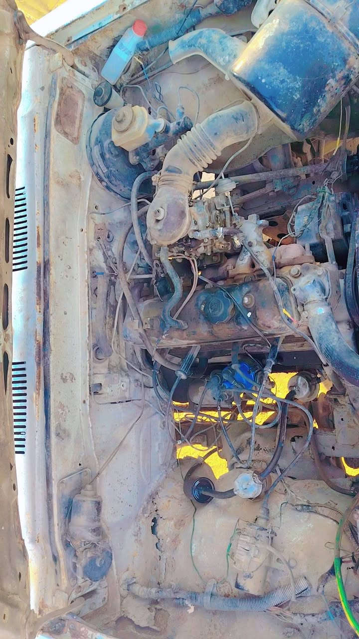 السلام عليكم ورحمه الله وبركاته للبيع بكم 85 كلها شرط ابيع حبل السعر مليونين وبيها مجال لاتصال ***********
