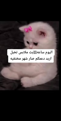 ملابس اطفال • ملابس شي ان • شي ان ميسان • بات بات • ملابس بنات • ملابس...