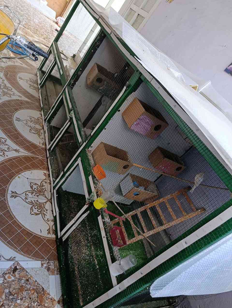 قفص حديد شخاط القوي متكون من ٣ خانات الطول ٣ أمتار ونص والعرض متر و٢٠ سم والنزال متر و٦٠ سم للبيع سعر ١١٠


**إذا كنت صاحب هذا الإعلان وتريد حذفه لأي سبب، رجاءا أرسل رسالة إلى الدعم الفني**