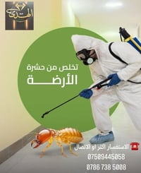 ⚠️ الأرضة مو مجرد حشرة عادية   تشتغل بصمت 24 ساعة باليوم تاكل بيتك من ...