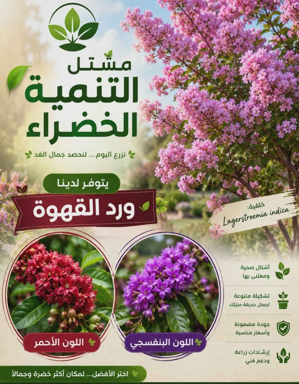 يتوفر لدينا ورد القهوة المتحمل الأجواء الحارة وجميع الضروف المناخية للحجز والاستفسار مراسلة الصفحه أو الواتساب يوجد توصيل لجميع محافظات العراق والجميع اقضية ونواحي كربلاء ***********
