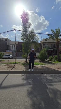 للبيع في السيدية على شارع النخيل مباشر  بسعر مناسب  مساحة 300م كامل او...