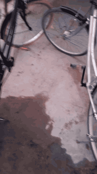 للبيع
بايسكل الرصاصي حجم ٢٦ سعر ٦٥الف
بايسكل الاسود حجم ٢٦ سعر ٧٥الف
مكاني بغداد التاجي 
للتواصل ‏‪***********‬‏
